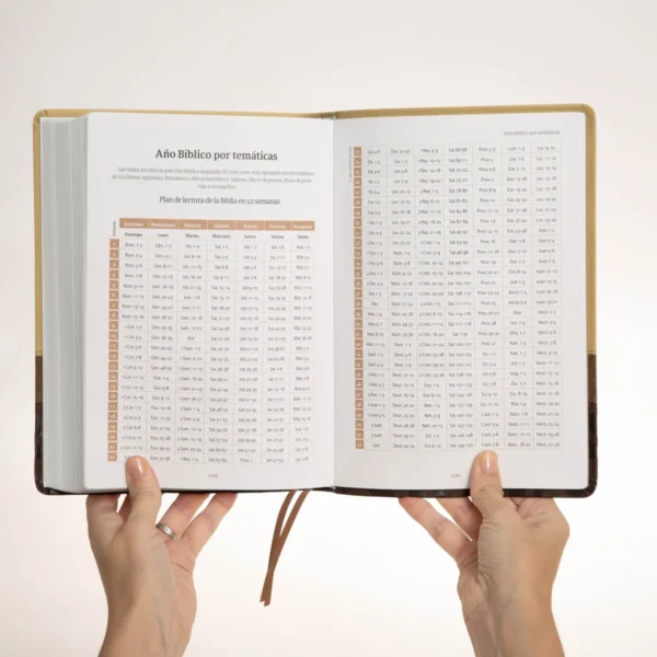 Biblia Devocional - Alejandro Bullón - Imagen 8
