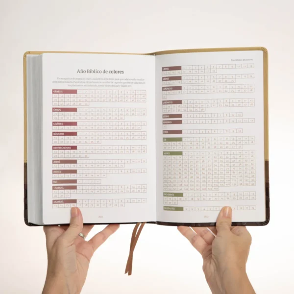 Biblia Devocional - Alejandro Bullón - Imagen 9