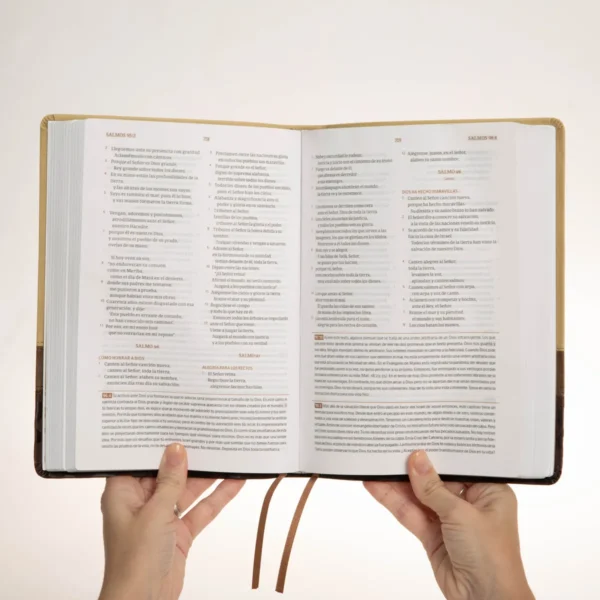 Biblia Devocional - Alejandro Bullón - Imagen 4