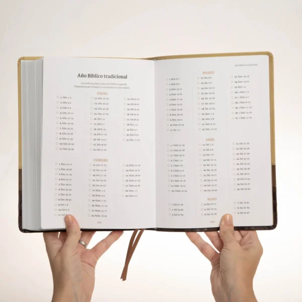 Biblia Devocional - Alejandro Bullón - Imagen 6